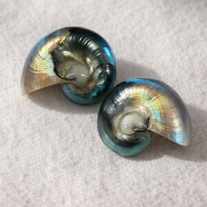 Vintage Nautilus Shell Clip-On Earrings Iridescent Statement Coastal